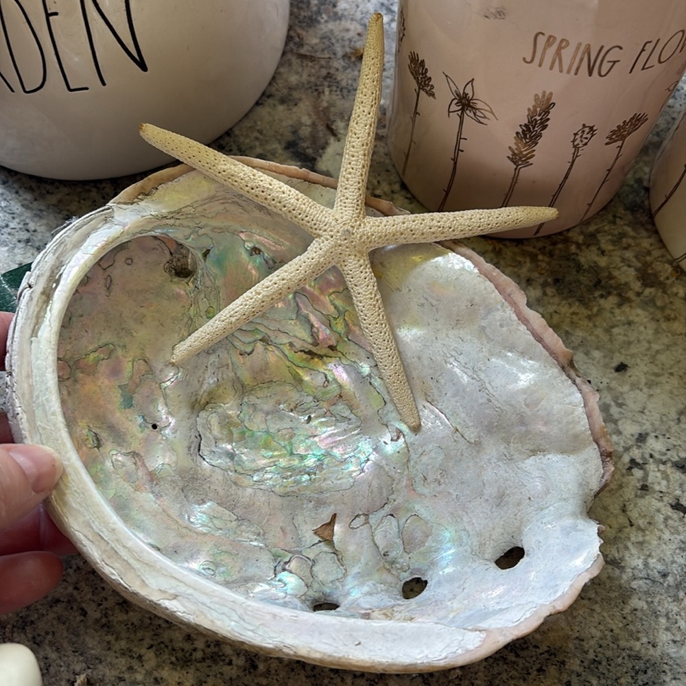Abalone Sea Shell - Picture 9 of 9
